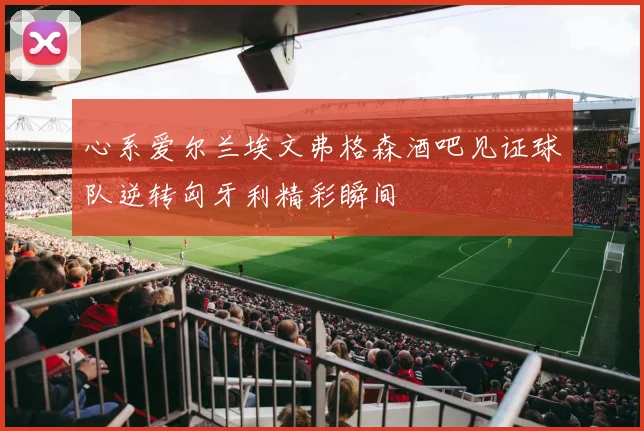 心系爱尔兰埃文弗格森酒吧见证球队逆转匈牙利精彩瞬间