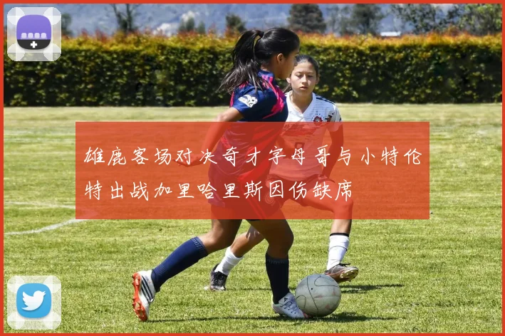 雄鹿客场对决奇才字母哥与小特伦特出战加里哈里斯因伤缺席