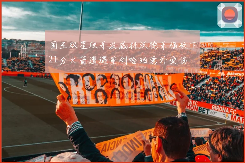 国王双星联手发威科沃德乐福砍下21分火箭遭遇重创哈珀意外受伤